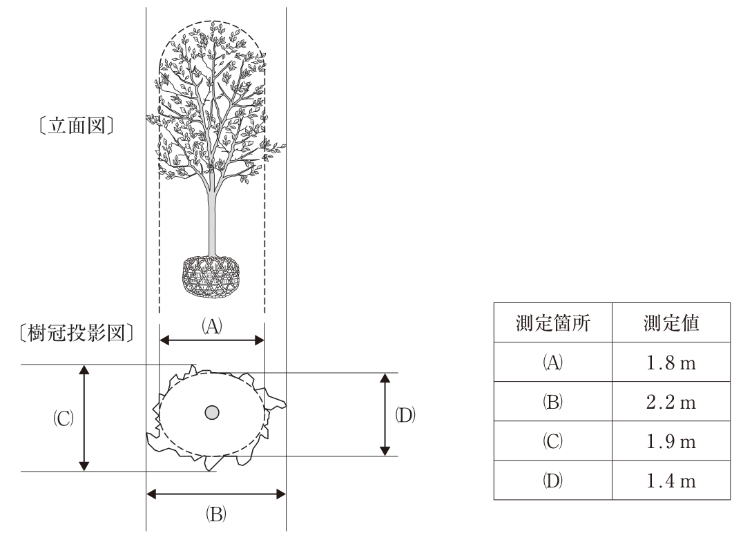 現場に搬入されたソメイヨシノ1本の立面図と樹冠投影図、測定値の表。立面図は根巻きした根鉢の上に幹と卵形の樹冠があり、樹冠の輪郭（一部の突出した枝を除いた形）を破線で囲む。樹冠投影図は、突出した枝を含む不規則な外形線と、その内側の破線の楕円からなり、中心に幹の断面（丸）がある。(A)は破線の楕円の横幅（立面図の破線の間隔と同じ）、(B)は突出した枝を含む外形線の横幅、(C)は突出した枝を含む外形線の縦幅、(D)は破線の楕円の縦幅。測定値：(A)1.8m、(B)2.2m、(C)1.9m、(D)1.4m。