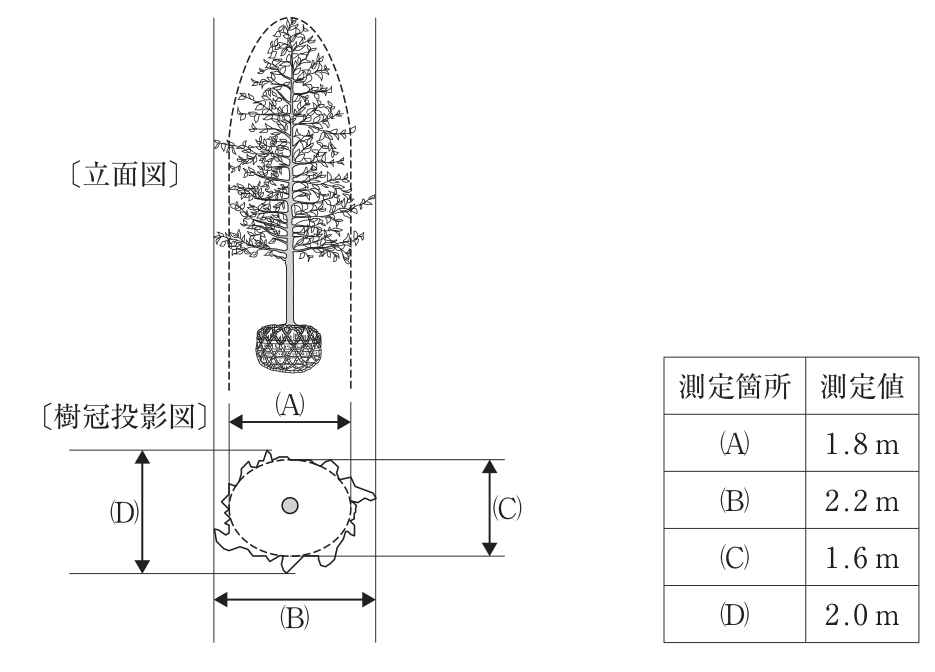 現場に搬入されたイチョウ1本の立面図と樹冠投影図、測定値の表。立面図は根巻きした根鉢の上に幹と縦長の樹冠があり、樹冠の輪郭(一部の突出した枝を除いた形)を破線で囲む。左右の枝先がこの破線から少し突出している。樹冠投影図は、突出した枝を含む不規則な外形線と、その内側の破線の楕円からなり、中心に幹の断面(丸)がある。(A)は破線の楕円の横幅、(B)は突出した枝を含む外形線の横幅、(C)は破線の楕円の縦幅、(D)は突出した枝を含む外形線の縦幅。測定値:(A)1.8m、(B)2.2m、(C)1.6m、(D)2.0m。