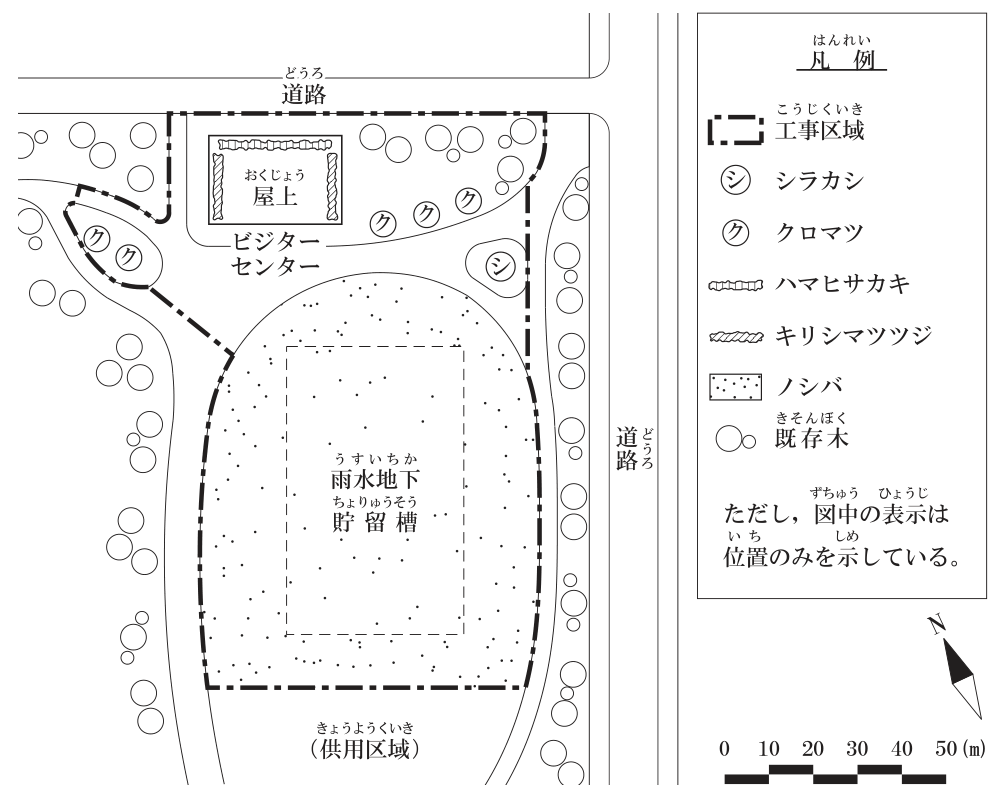 〔図面〕造園工事の平面図(縮尺バー0〜50m、方位記号のNは左上を向く)。上に横方向の道路、右に縦方向の道路がある。一点鎖線の工事区域は、上の道路に面したビジターセンター(中に屋上の植栽の表示)とその周りの植栽地、左上の園路に囲まれた小さな植栽地、その下の雨水地下貯留槽(破線の長方形)を含むノシバの区域。ビジターセンターの右にクロマツ(ク)3本、左上の植栽地にクロマツ2本、ビジターセンターの右下の植栽地にシラカシ(シ)1本がある。屋上部の植栽は、上下の縁にハマヒサカキ(俵形の帯)、左右の縁にキリシマツツジ(斜線の帯)がある。工事区域の外の左側・右側の道路沿いに既存木(白丸)が並び、下側は(供用区域)。凡例:一点鎖線=工事区域、シ=シラカシ、ク=クロマツ、俵形の帯=ハマヒサカキ、斜線の帯=キリシマツツジ、点々=ノシバ、白丸=既存木。ただし、図中の表示は位置のみを示している。