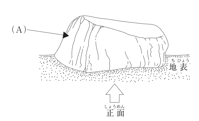 地表に据えた横長の庭石を正面から見た図。下に「正面」と書いた上向きの矢印があり,右側に「地表」とある。(A)の矢印は,石の左端の,正面に対して奥へ回り込む側面の部分を指している。